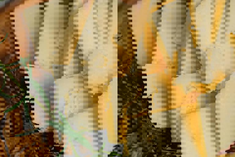 Local Cheese Makers Host Open Dairy Tour with Interactive Tastings and Workshops